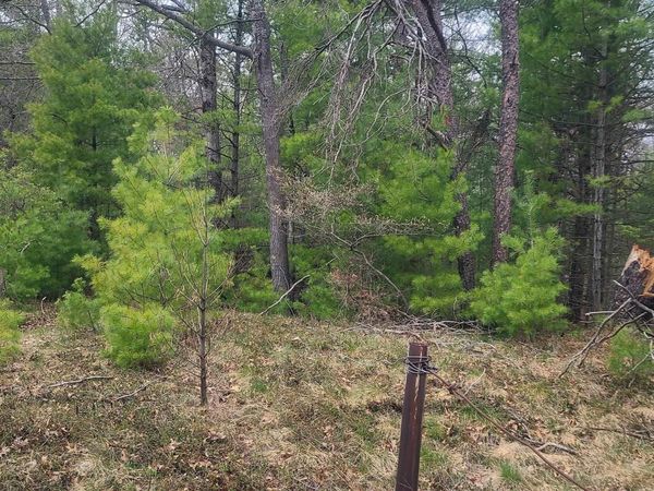 3856 Old State Road, National City, MI 48748