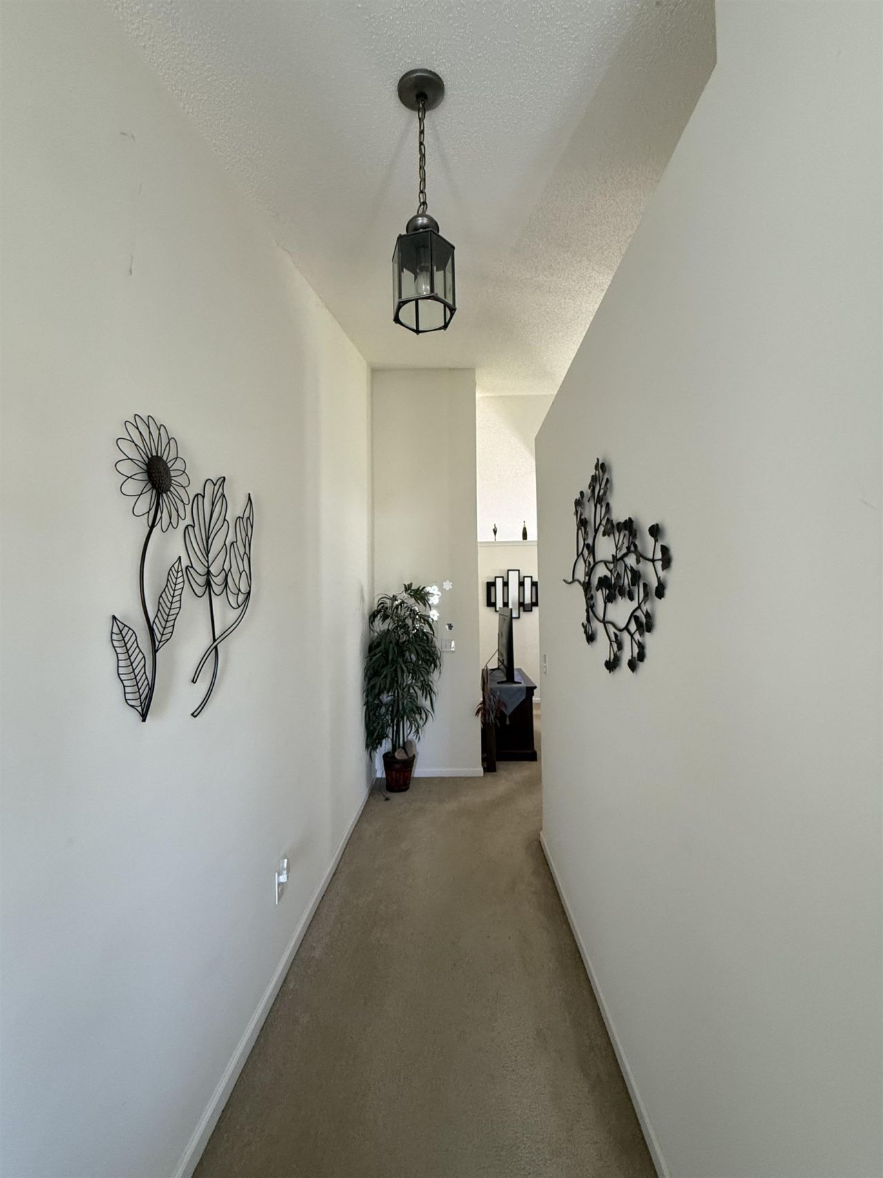 401 Carolina Woods Dr. Photo 12