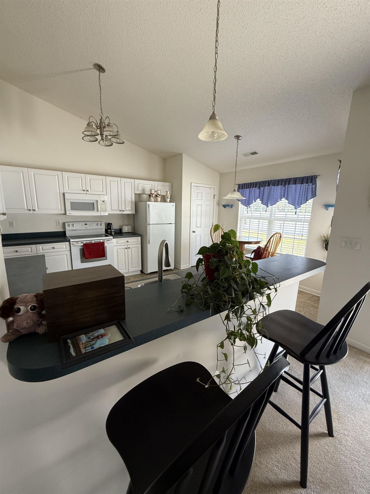 401 Carolina Woods Dr. Photo 15