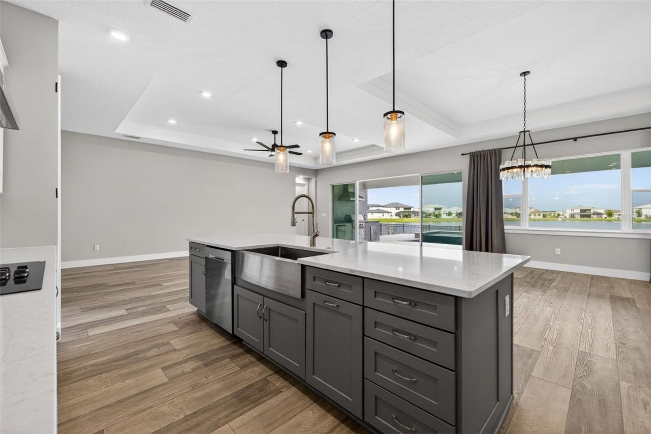 8346 Ivy Stark Boulevard, Wesley Chapel, FL 33545 Photo