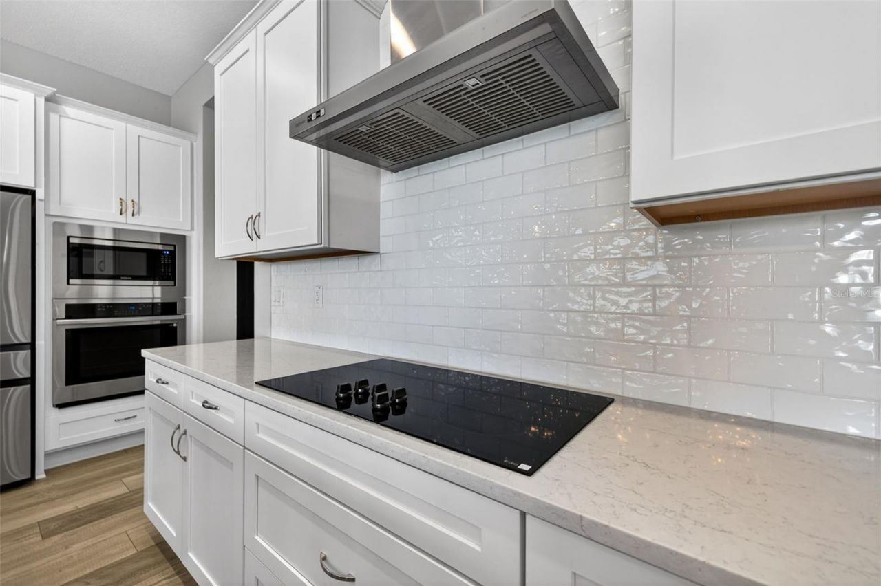8346 Ivy Stark Boulevard, Wesley Chapel, FL 33545 Photo