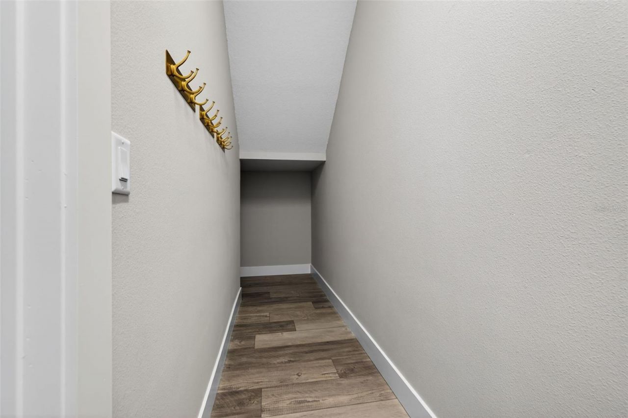 8346 Ivy Stark Boulevard, Wesley Chapel, FL 33545 Photo