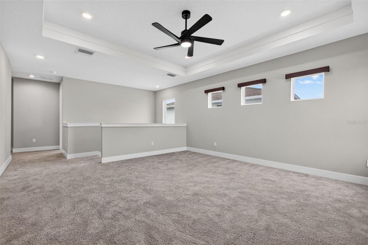8346 Ivy Stark Boulevard, Wesley Chapel, FL 33545 Photo