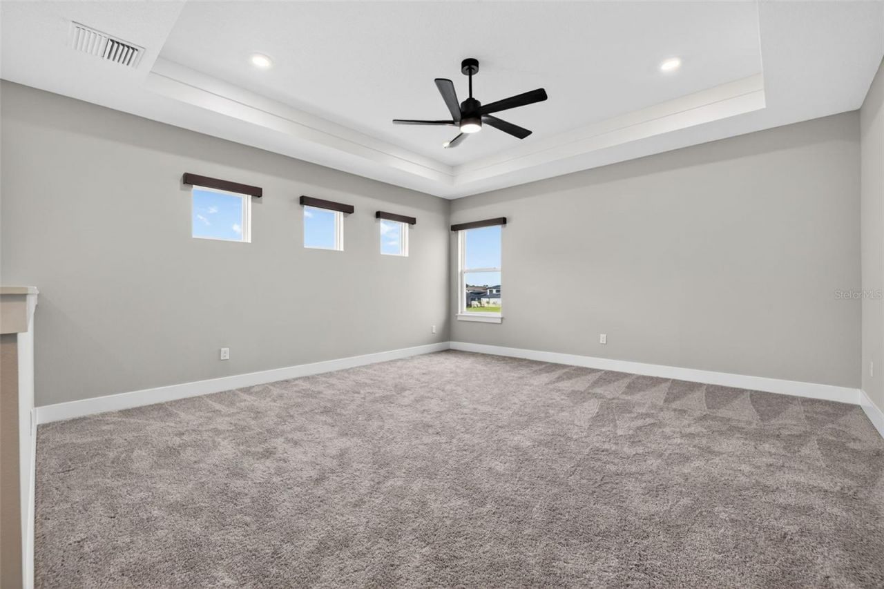 8346 Ivy Stark Boulevard, Wesley Chapel, FL 33545 Photo