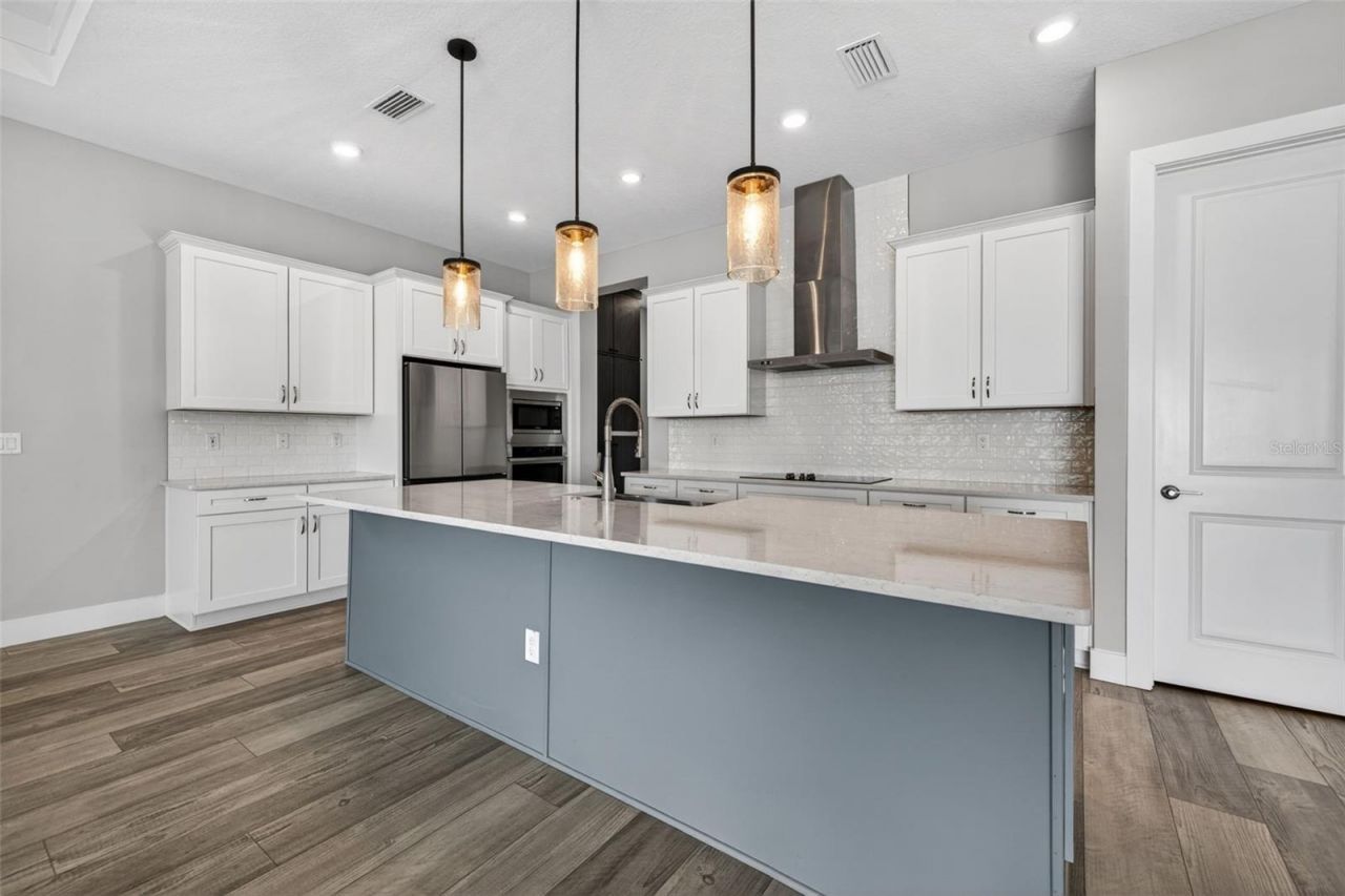 8346 Ivy Stark Boulevard, Wesley Chapel, FL 33545 Photo