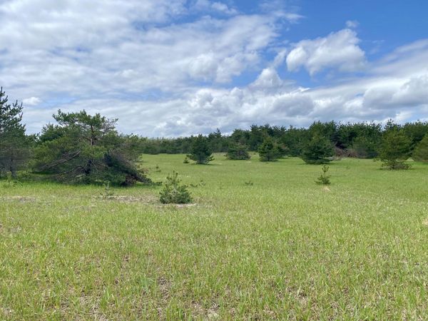 11.5 AC N Townline Road, Gaylord, MI 49735