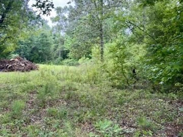 TBD, Pitkin, LA 70656