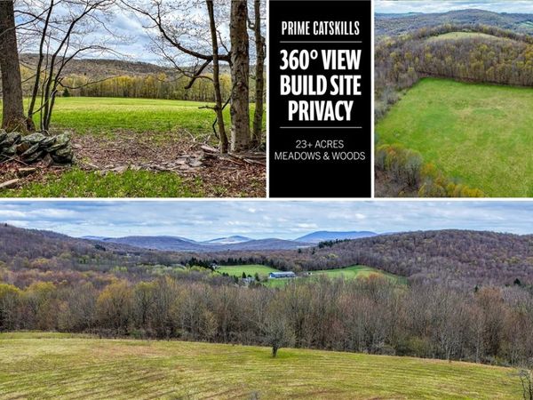 Lot 3 Brownell Road , Bloomville, NY 13739