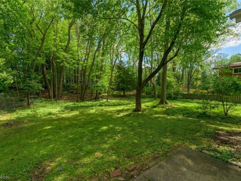 431 Wilson Avenue, Kent, OH 44240 Photo 5