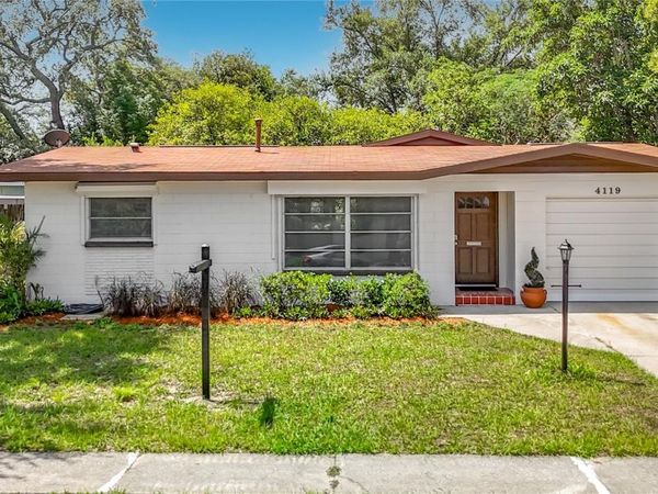 4119 E 98TH AVENUE , TAMPA, FL 33617