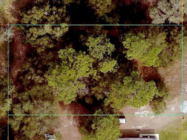 SE 92ND AVENUE , SUMMERFIELD, FL 34491