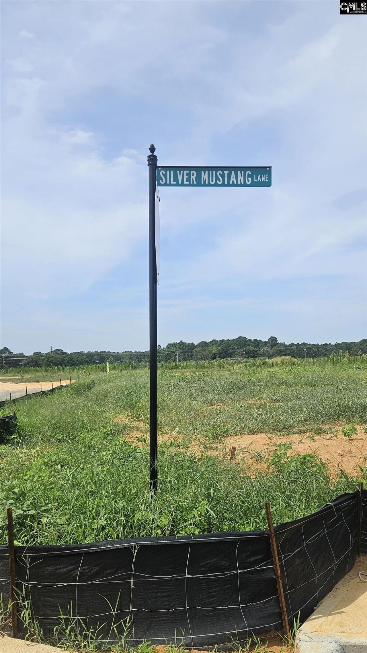 6035 Silver Mustang Lane Photo 36