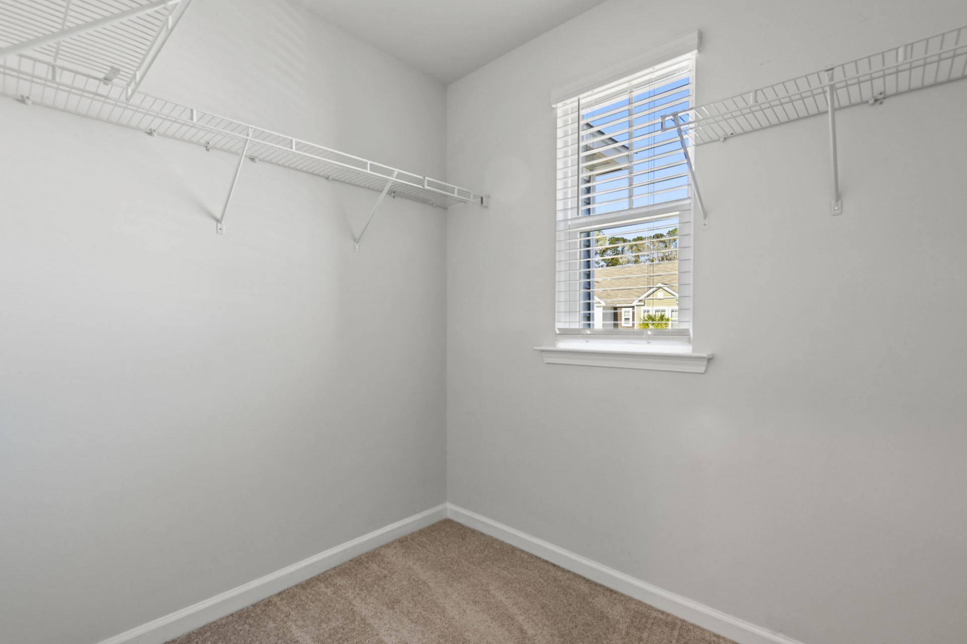 163 Rosefield Court Photo 17