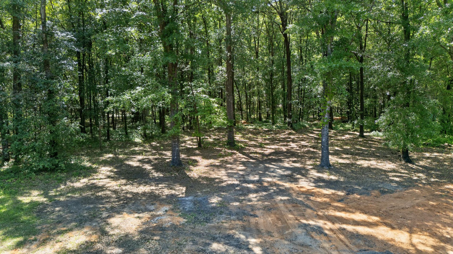 1131 Hickory Drive Photo 76