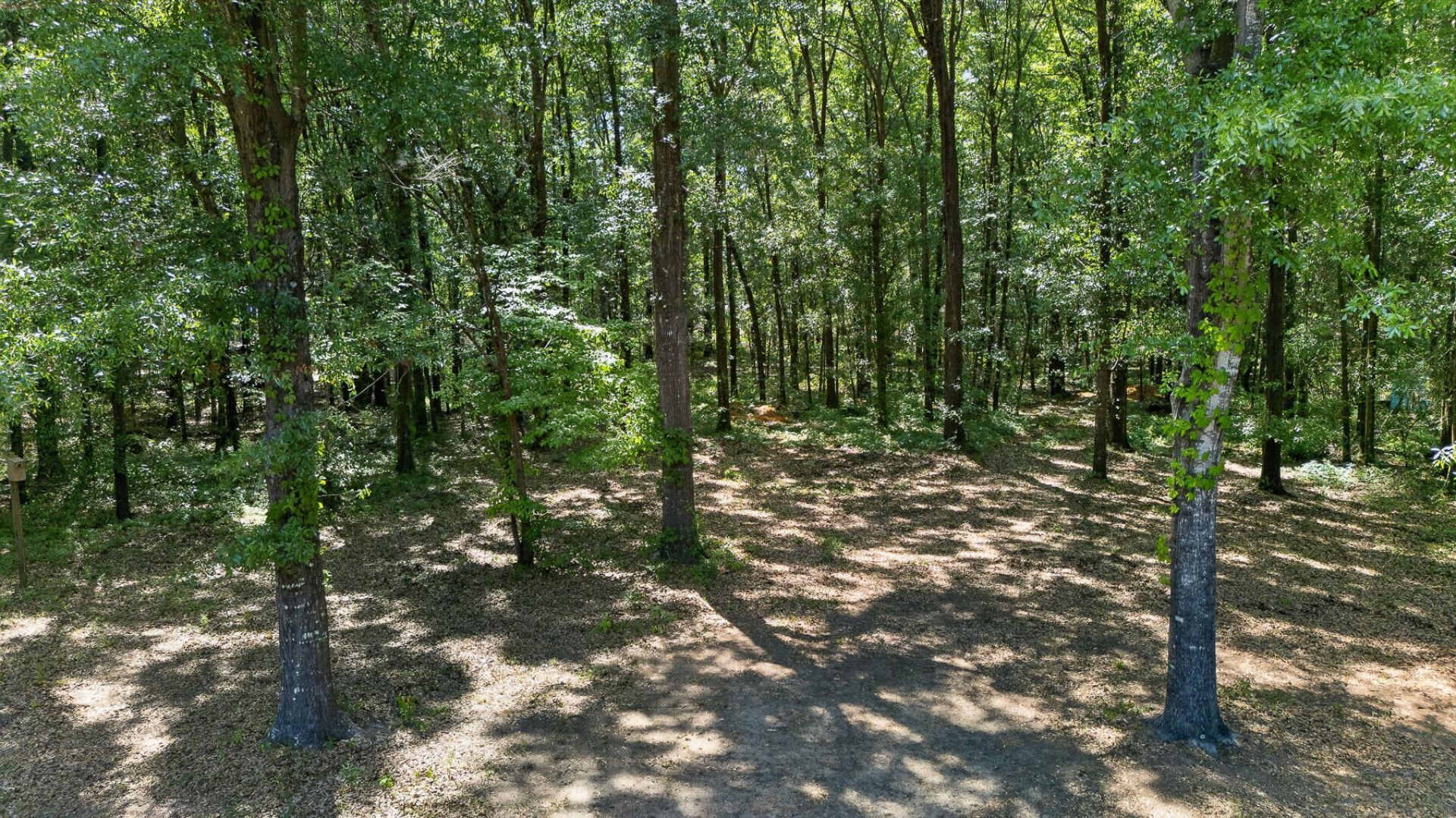 1131 Hickory Drive Photo 77