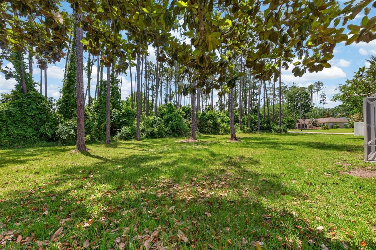 13 Ellsworth Drive, Palm Coast, FL 32164 Photo
