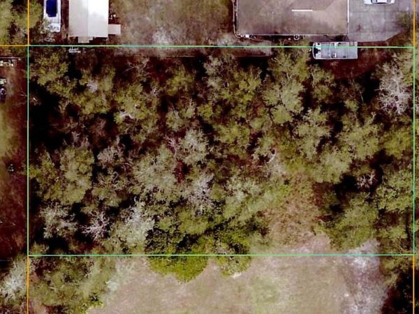 SE 92ND AVENUE, SUMMERFIELD, FL 34491