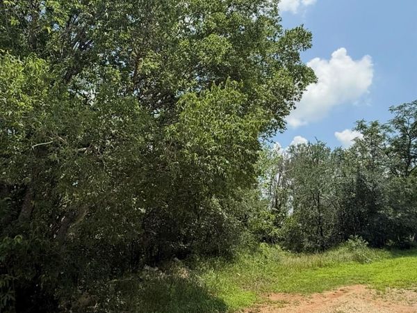 135 Jackson ST, Elgin, TX 78621