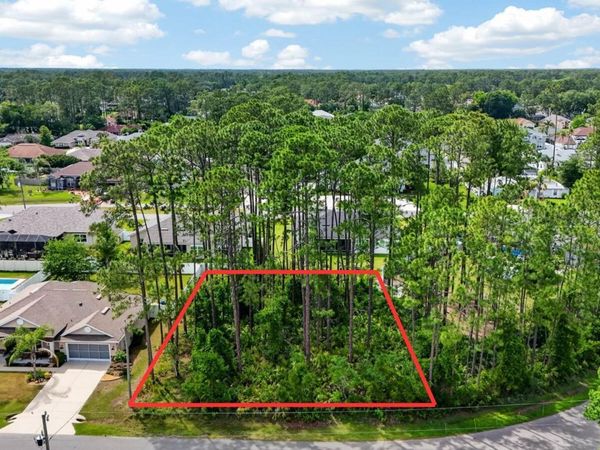 46 Evans Drive, Palm Coast, FL 32164