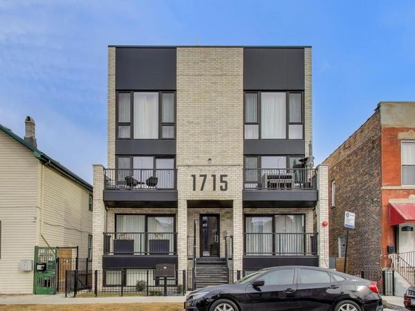 1715 S Morgan Street, Unit 2, Chicago, IL 60608