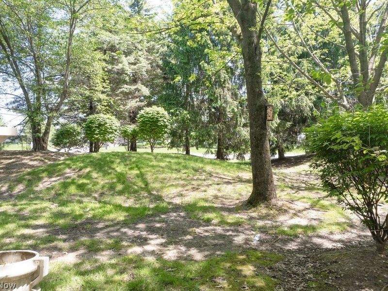 3158 Richmond Road, Unit 3158, Beachwood, OH 44122 Photo 40