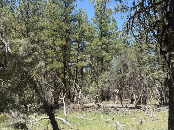 0 Chickadee Drive, Unit Lot 10, Bonanza, OR 97623