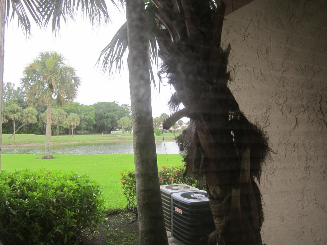 3310 N Pinewalk Drive N, Unit 1812, Margate, FL 33063 Photo