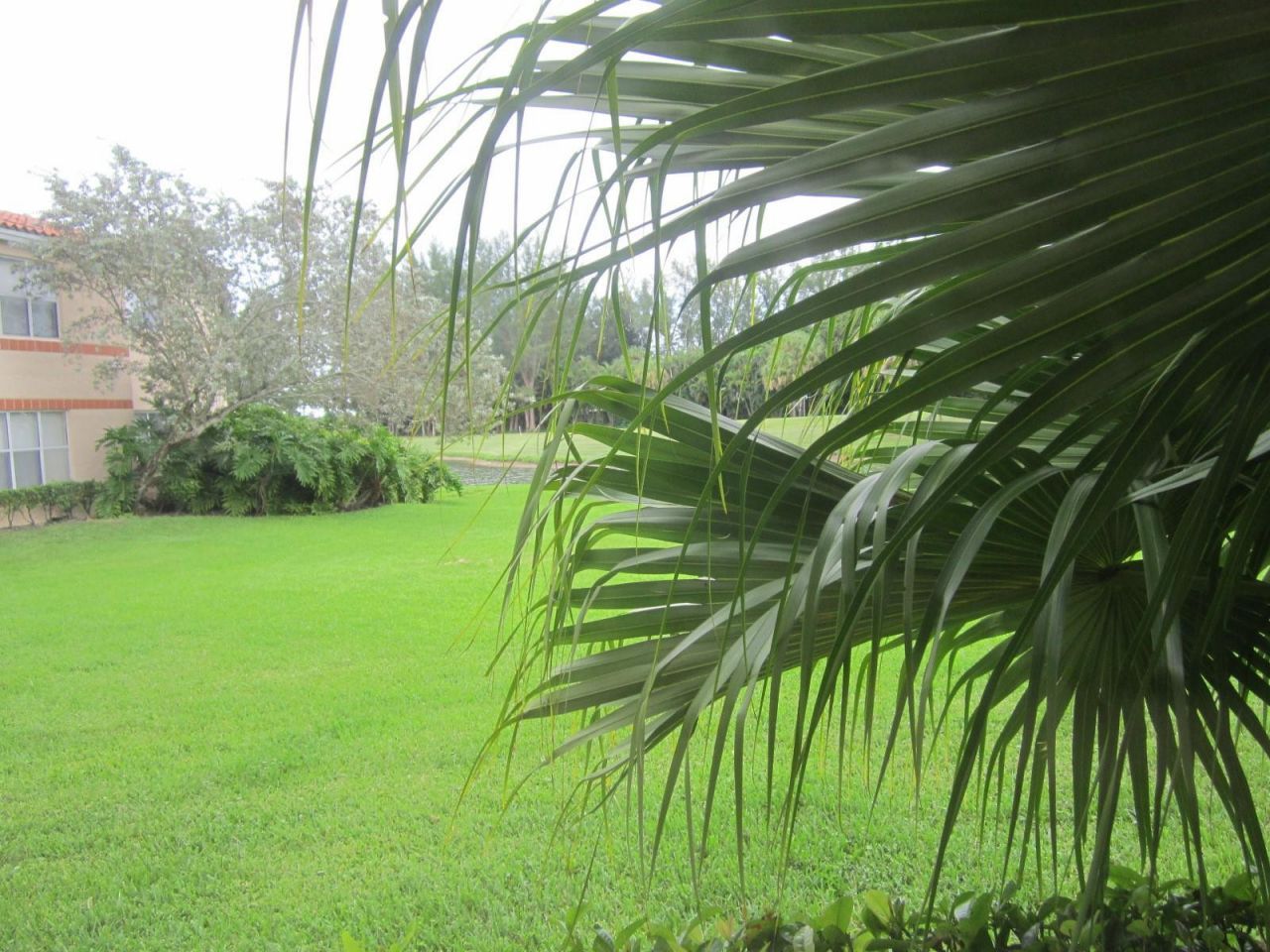 3310 N Pinewalk Drive N, Unit 1812, Margate, FL 33063 Photo