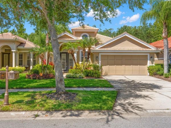 14644 MIRASOL MANOR COURT, TAMPA, FL 33626