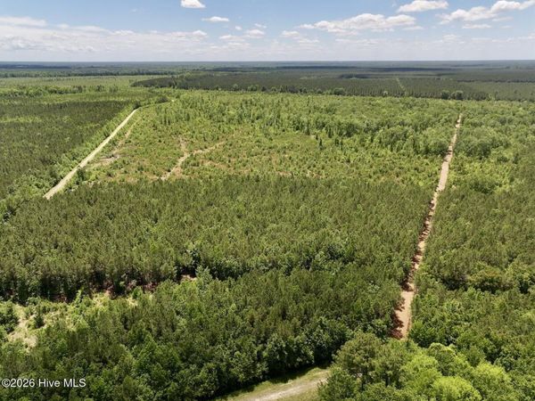0 Guinea Mill Road, Ernul, NC 28527