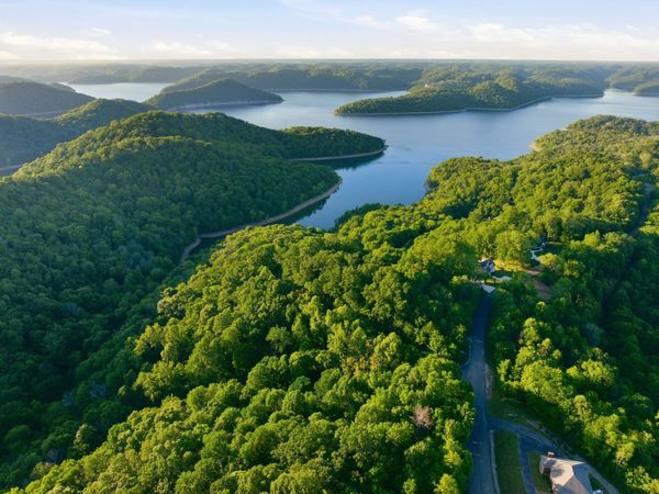 0 Davidson Road, Smithville, TN 37166