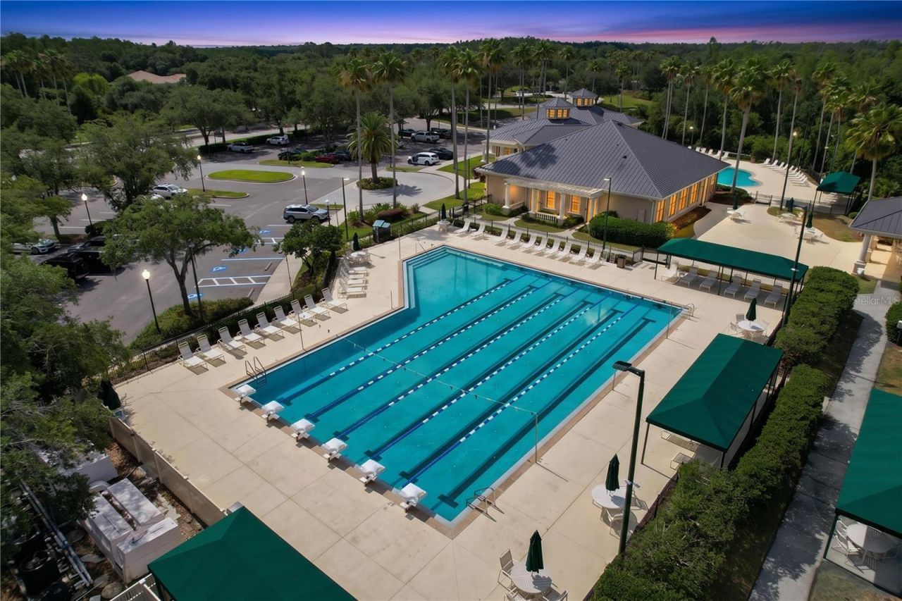 10144 Arbor Run Drive, Unit 31, Tampa, FL 33647 Photo