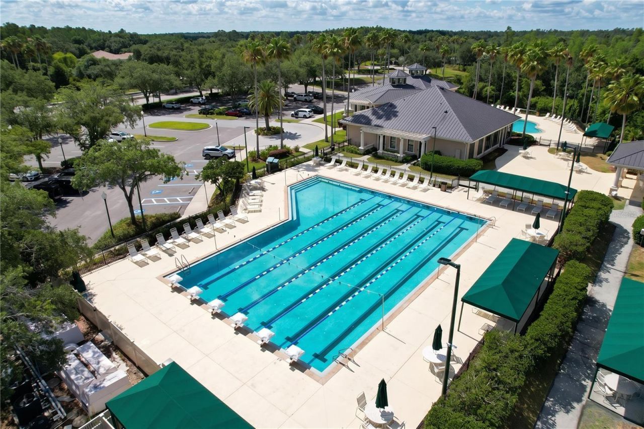 10144 Arbor Run Drive, Unit 31, Tampa, FL 33647 Photo