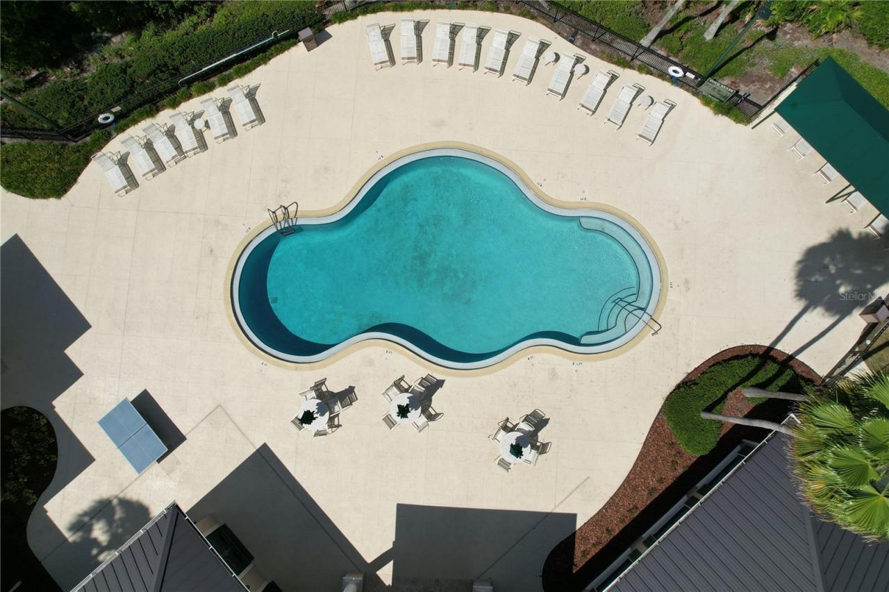 10144 Arbor Run Drive, Unit 31, Tampa, FL 33647 Photo