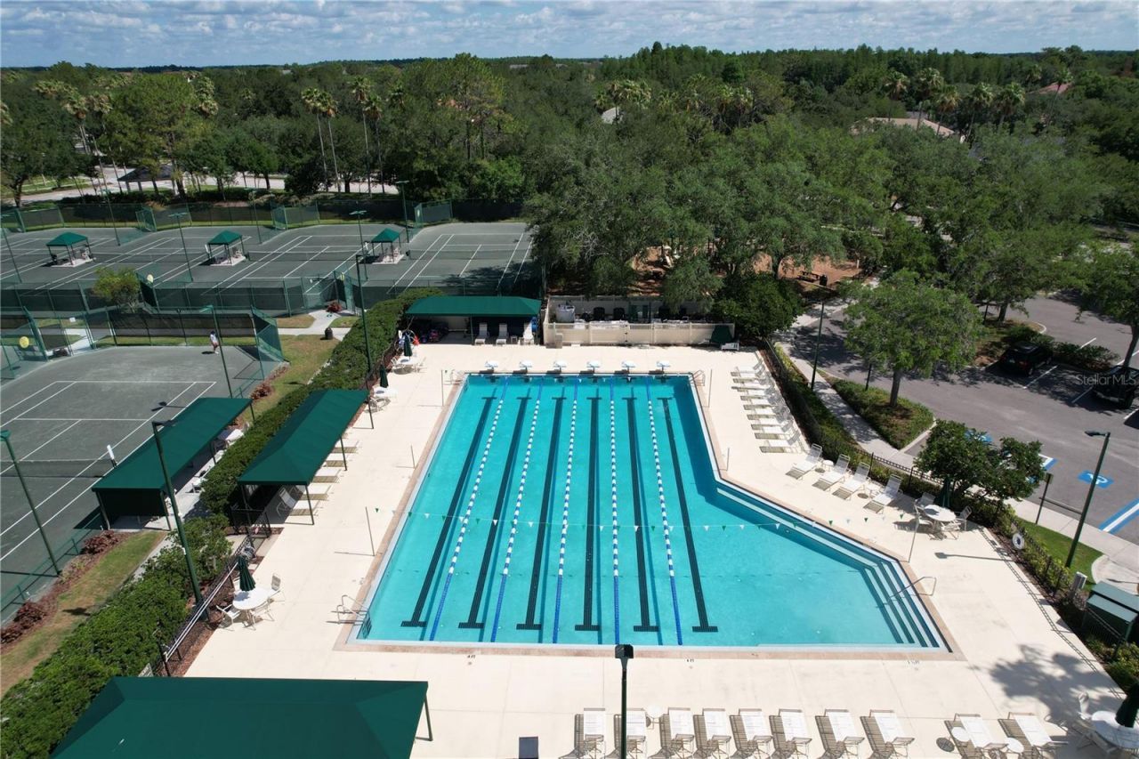 10144 Arbor Run Drive, Unit 31, Tampa, FL 33647 Photo