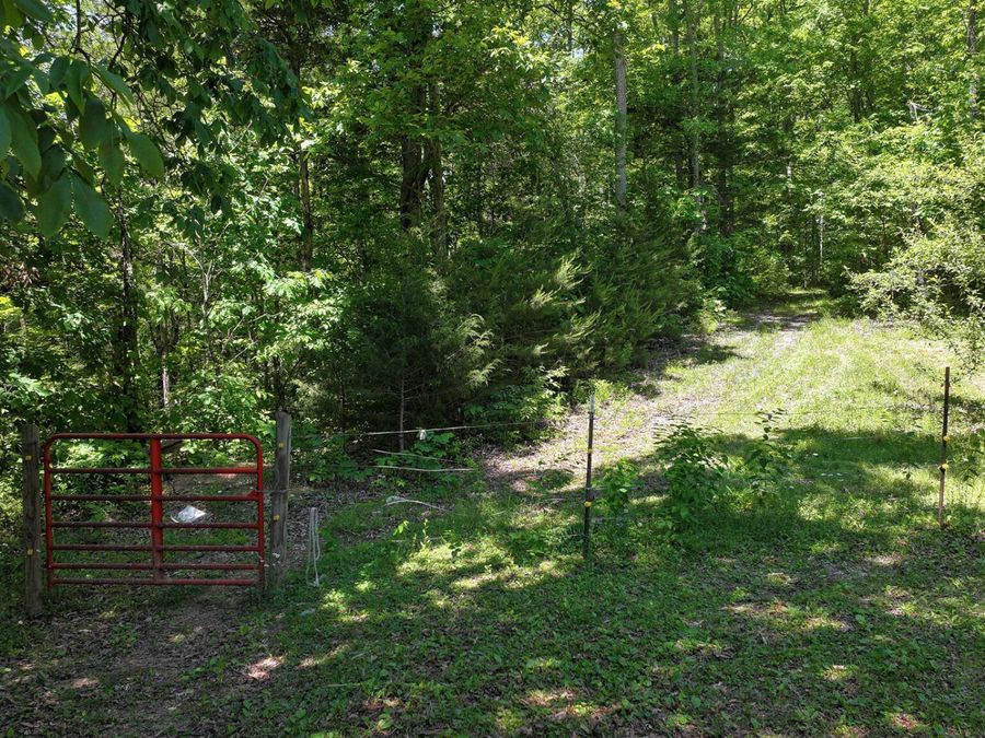 Property Image 35