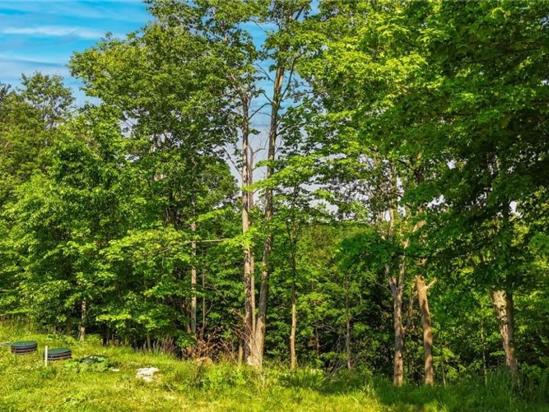7455 Stanleyville Road, Whipple, OH 45788 Photo 35