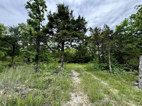 000 Cottengim Road , Macomb, MO 65702