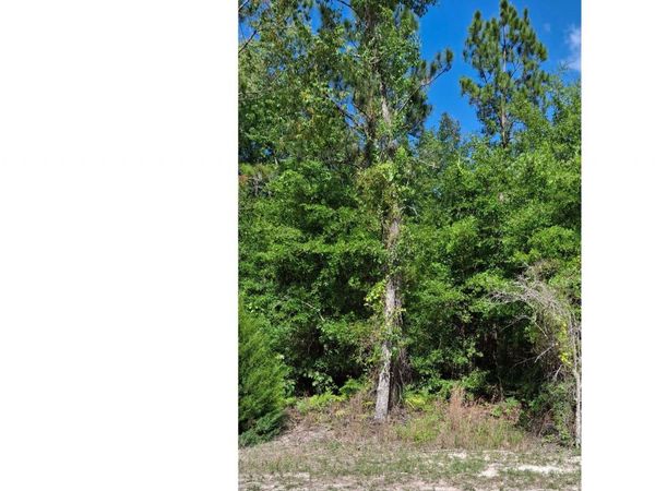 105TH DR., OBrien, FL 32071