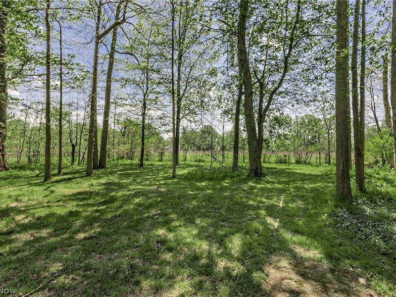 33320 Outley Park Drive, Solon, OH 44139 Photo 47