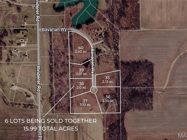 13644 Bavarian Way, Highland, IL 62249