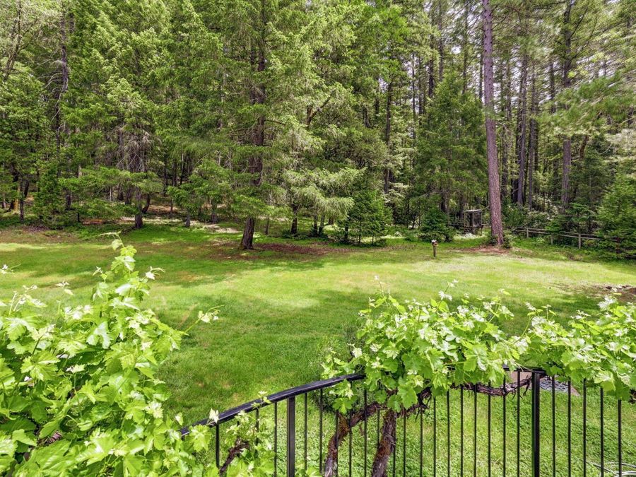 Property Image 59