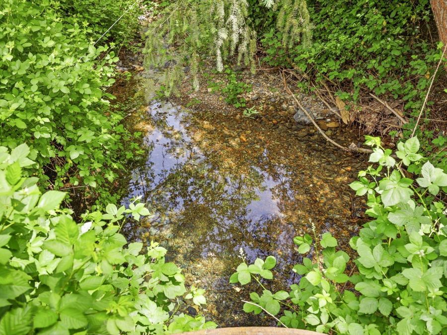 Property Image 87