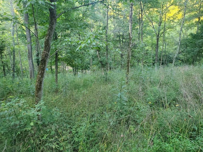 11050 Bond Road, Whitewater Twp, OH 45030 Photo 13