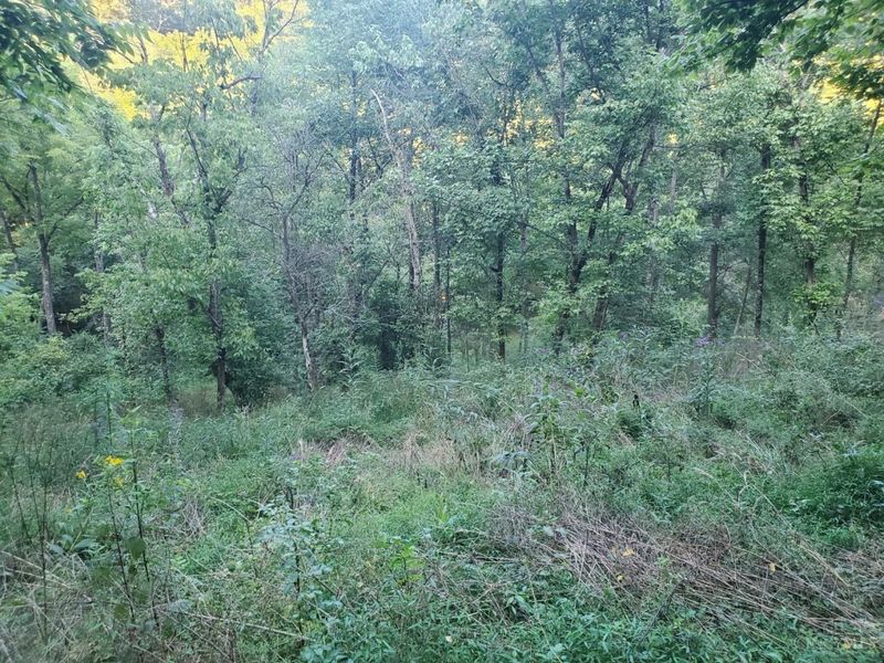11050 Bond Road, Whitewater Twp, OH 45030 Photo 17
