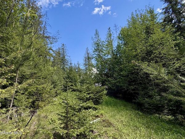 NNA Lot 4 Silver Reef Rd , Sagle, ID 83860