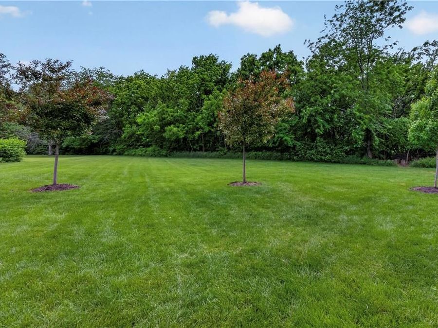 Property Image 53