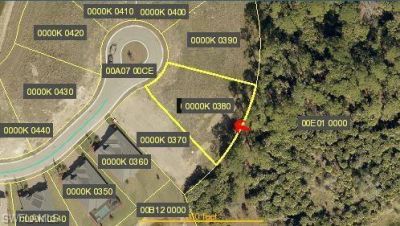 17334 Rocking Chair Ct, Alva, FL 33920 Photo