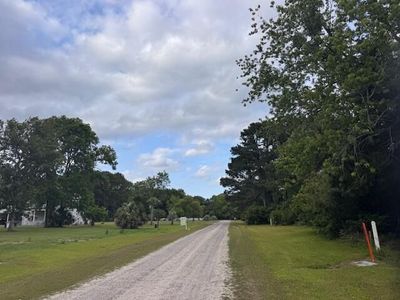 43 Blackbear Drive, Edisto Island, SC 29438