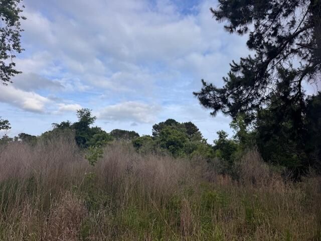 43 Blackbear Drive Photo 2